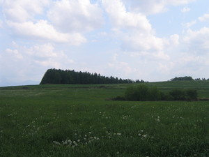 20080616-06.JPG