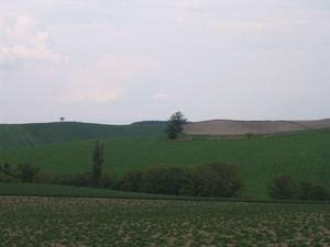 20080617-00.JPG