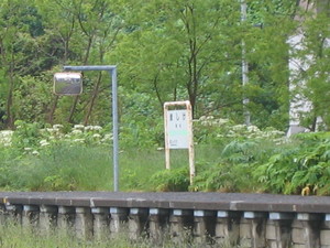 20080617-08.JPG