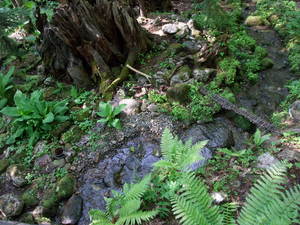 20080617-14.JPG