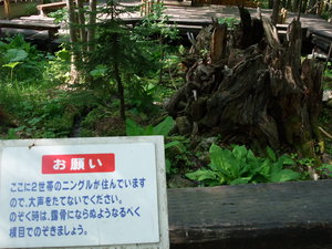 20080617-15.JPG