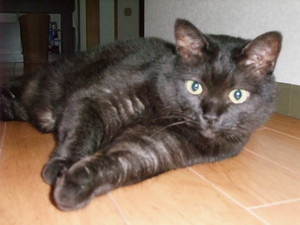 20080803-00.JPG