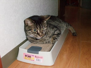 20080803-02.JPG