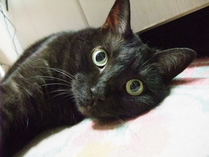 20080824-00.JPG