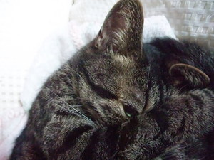 20080827-00.JPG