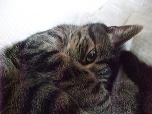 20081005-00.jpg