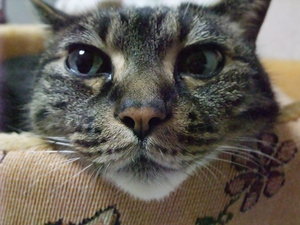 20081203-01.JPG
