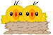 20090127-00.gif