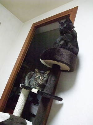 20090211-02.jpg