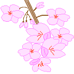20090213-04.gif