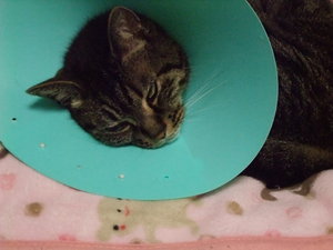 20090219-01.jpg