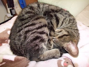 20090227-01.JPG
