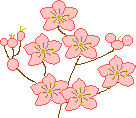 20090307-02.gif