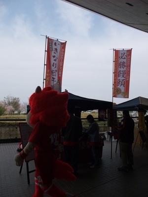 20090408-06.JPG