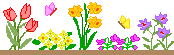 20090408-08.gif