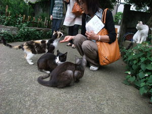20090630-08.JPG