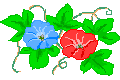 20090701-00.gif