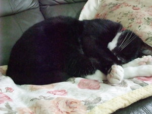 20090701-04.JPG