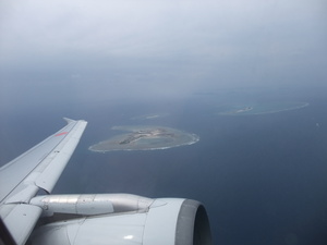 20091028-06.JPG
