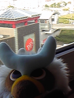 20091031-09.jpg