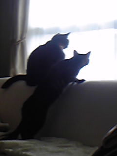 20091116-04.jpg