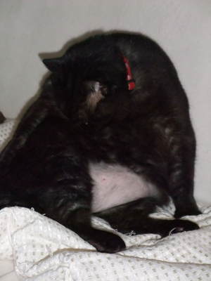 20091117-00.JPG