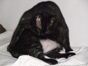 20091117-01.JPG
