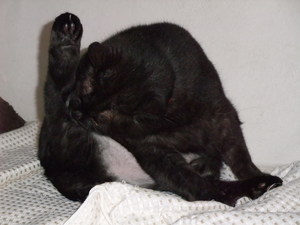 20091117-03.JPG