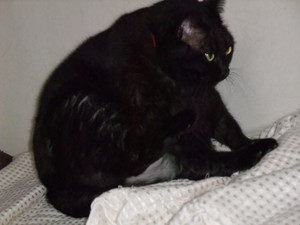 20091117-04.JPG