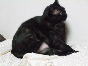 20091117-06.JPG