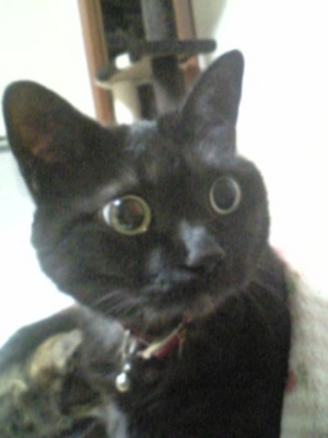 20091117-07.jpg