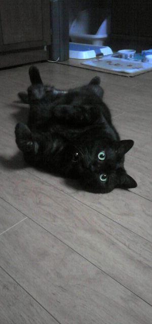 20091117-08.jpg