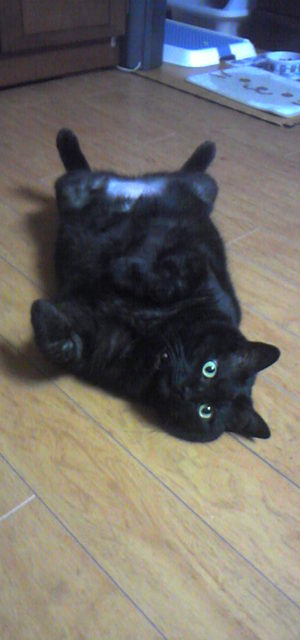 20091117-09.jpg
