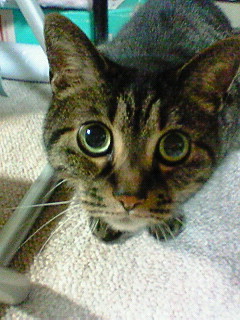 20100204-04.jpg