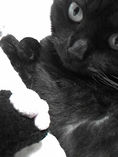 20100204-06.jpg