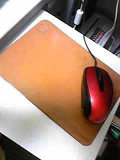 20100204-07.jpg