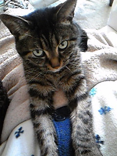 20100220-06.jpg
