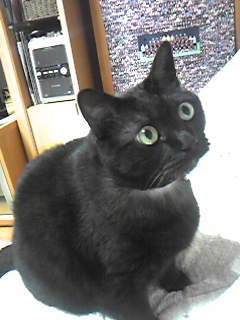 20110227-02.jpg