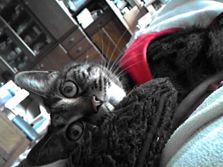 20110227-05.jpg