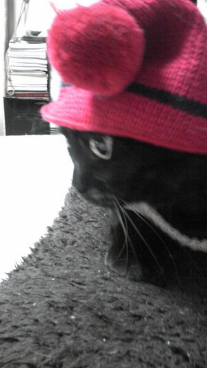 20110227-07.jpg