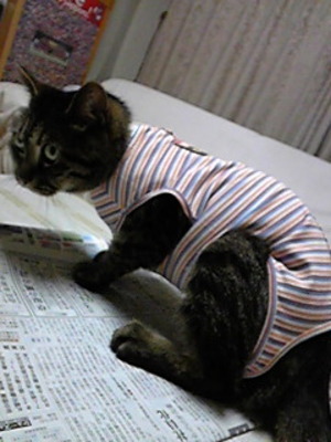 20110227-08.jpg