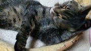 20120325-07.JPG