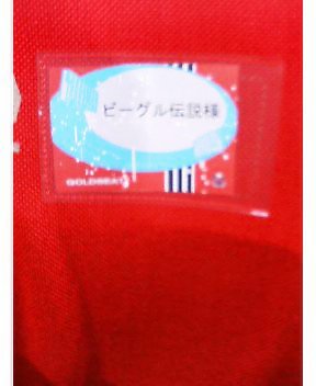 20051206-01.jpg