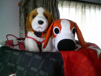 20070311-01.jpg