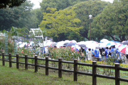 20080825-03.JPG