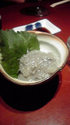 20080917-02.jpg