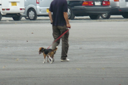 20080917-11.JPG