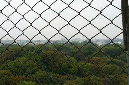 20080917-21.JPG