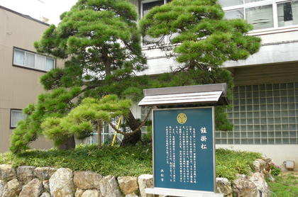 20080917-23.JPG