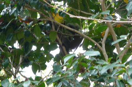 20080917-24.JPG